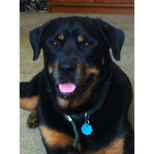 Meet your Posher, Kevin